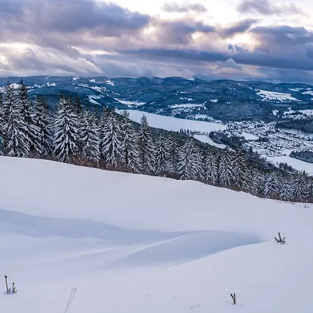 아파트 Schwarzwaldtraum - 2zi - Feldberg *