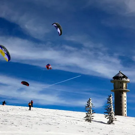 아파트 Schwarzwaldtraum - 2zi - Feldberg *