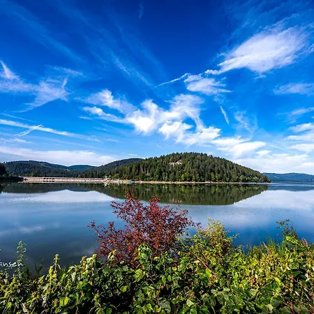 Schwarzwaldtraum - 2zi - Feldberg