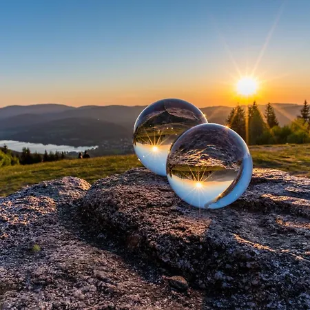 Schwarzwaldtraum - 2zi - Feldberg 펠트베르크