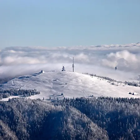 Schwarzwaldtraum - 2zi - Feldberg 아파트