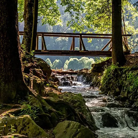 아파트 Schwarzwaldtraum - 2zi - Feldberg 펠트베르크