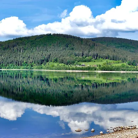 Schwarzwaldtraum - 2zi - Feldberg *