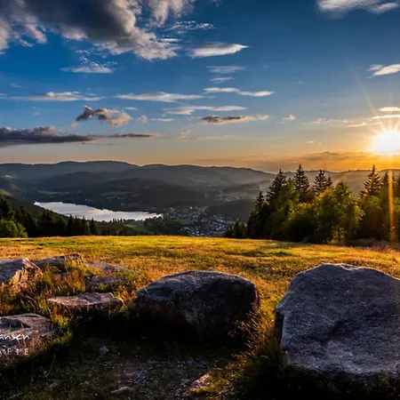 Schwarzwaldtraum - 2zi - Feldberg