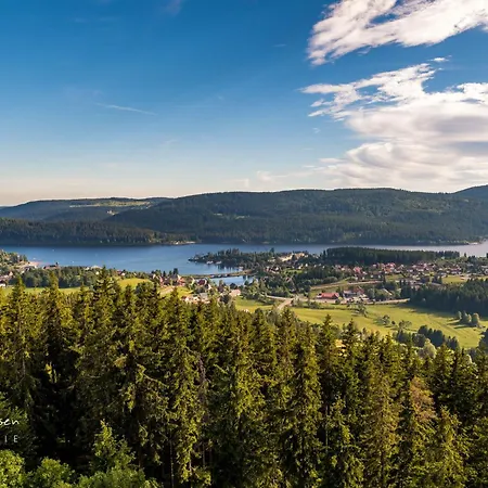 Schwarzwaldtraum - 2zi - Feldberg