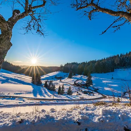 Schwarzwaldtraum - 2zi - Feldberg * 펠트베르크